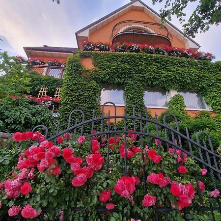 Villa Victoria Leba Exterior photo
